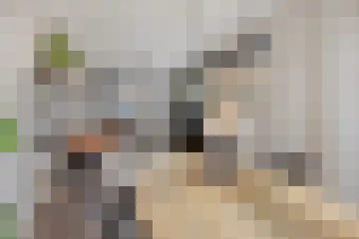 Het Midden 19 Bant thumbnail 11