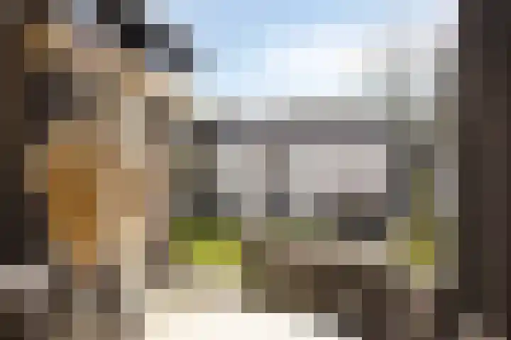 Het Midden 19 Bant thumbnail 18