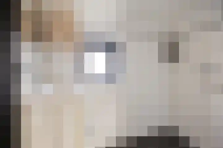 Het Midden 19 Bant thumbnail 22