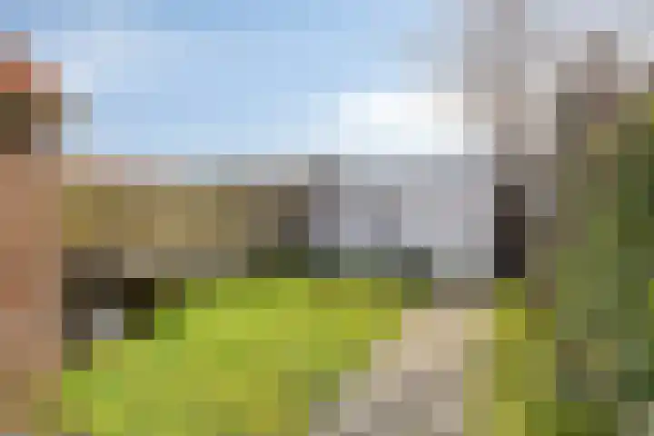 Het Midden 19 Bant thumbnail 29