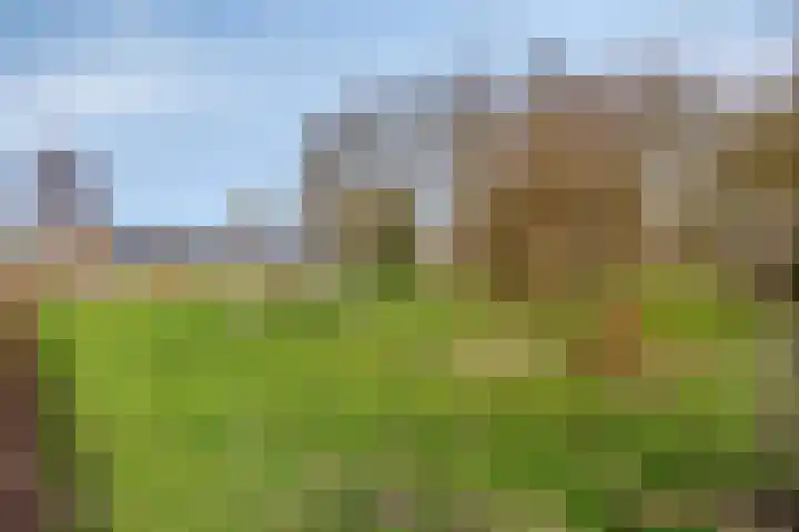 Het Midden 19 Bant thumbnail 39