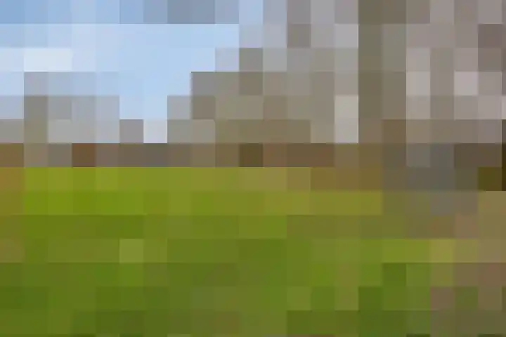 Het Midden 19 Bant thumbnail 40