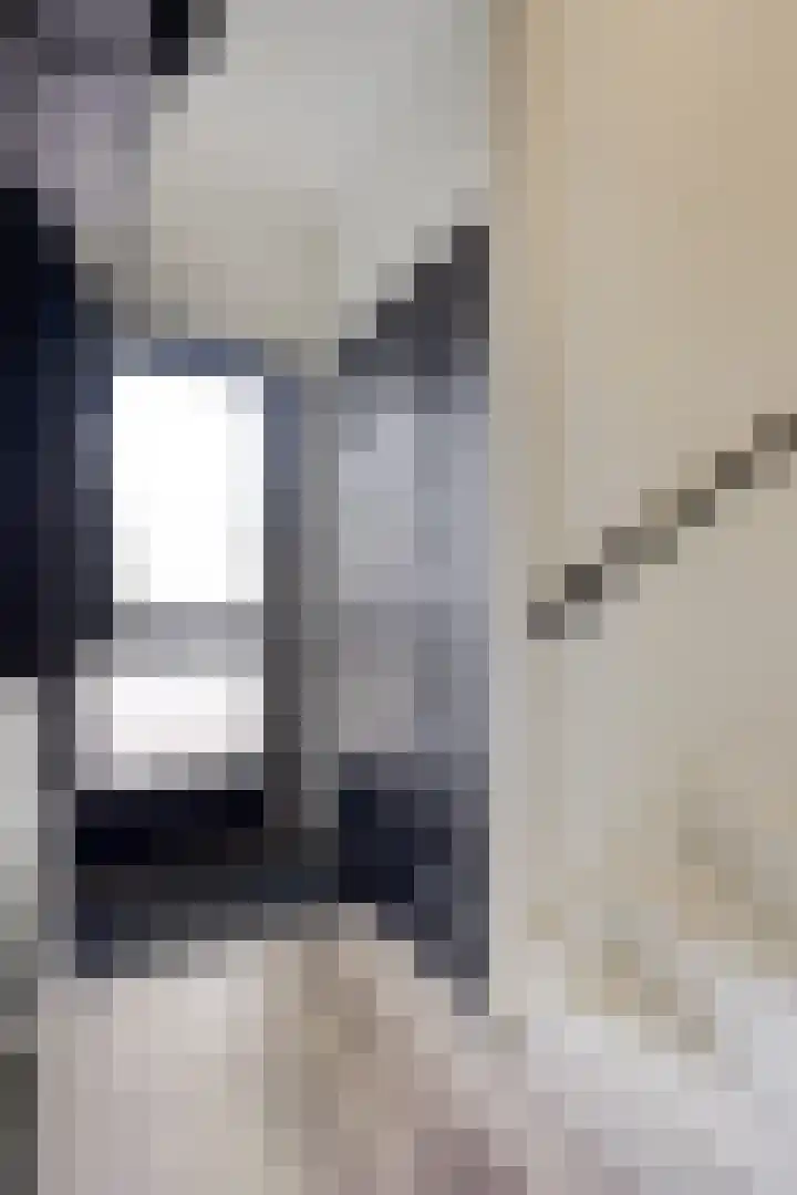 Het Midden 19 Bant thumbnail 6