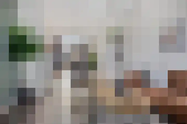 Het Midden 19 Bant thumbnail 9