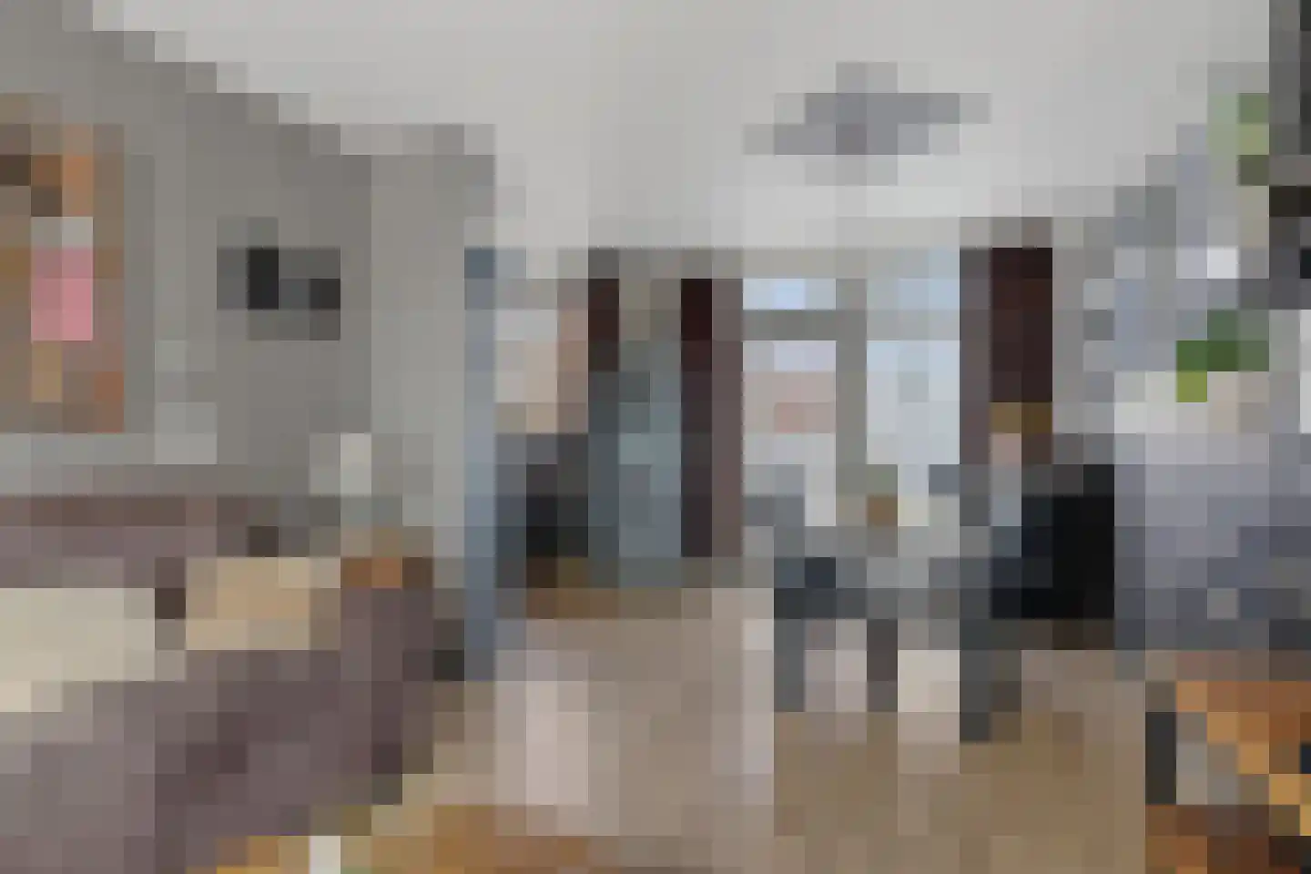 Het Midden 2 Bant thumbnail 14