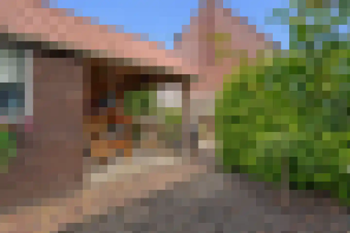 Het Midden 2 Bant thumbnail 18