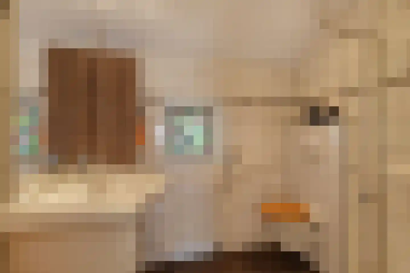 Het Midden 2 Bant thumbnail 29