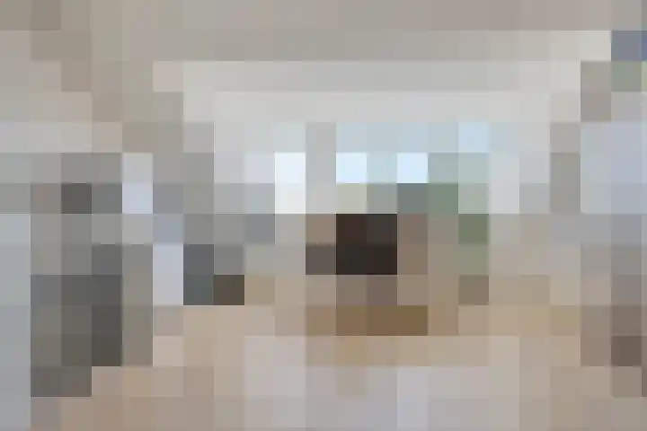 Het Middenpad 27 Loenen thumbnail 35
