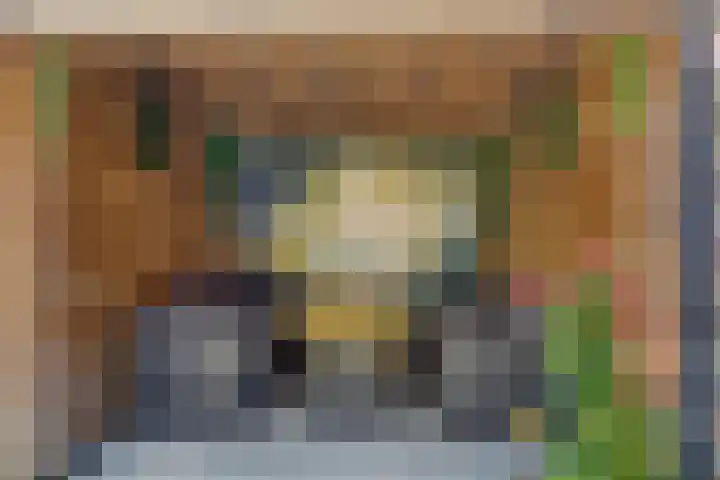 Het Middenpad 27 Loenen thumbnail 7