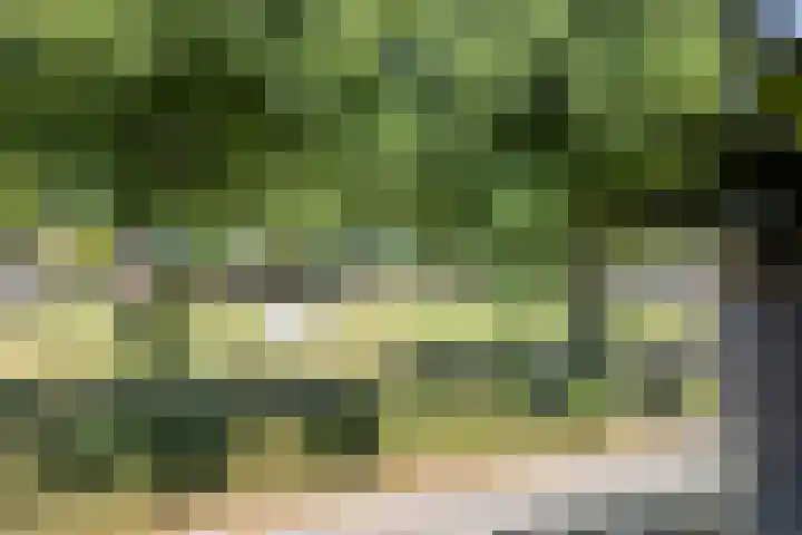 Het Middenpad 27 Loenen thumbnail 8