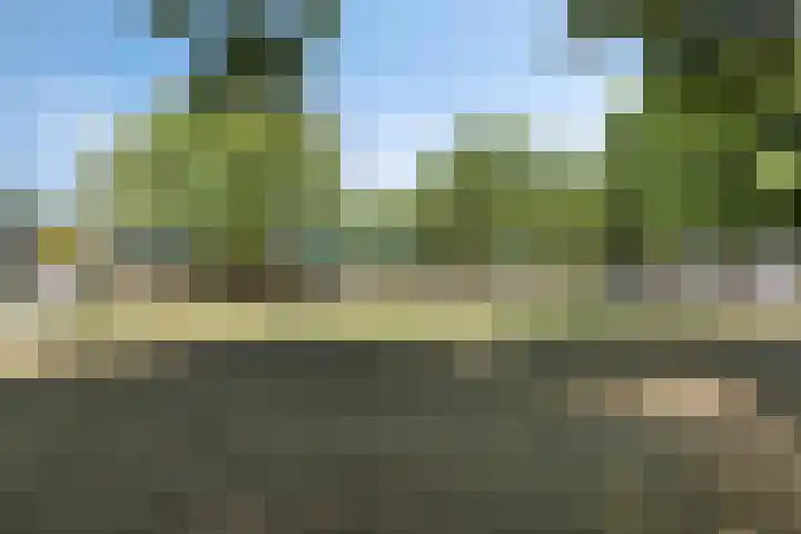 Het Middenpad 27 Loenen thumbnail 9