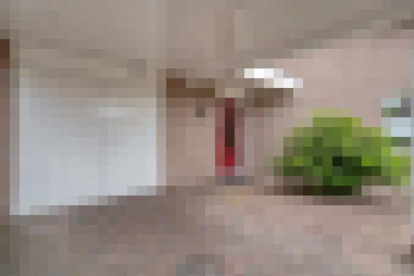 het Molenpad 10 Heeten thumbnail 10