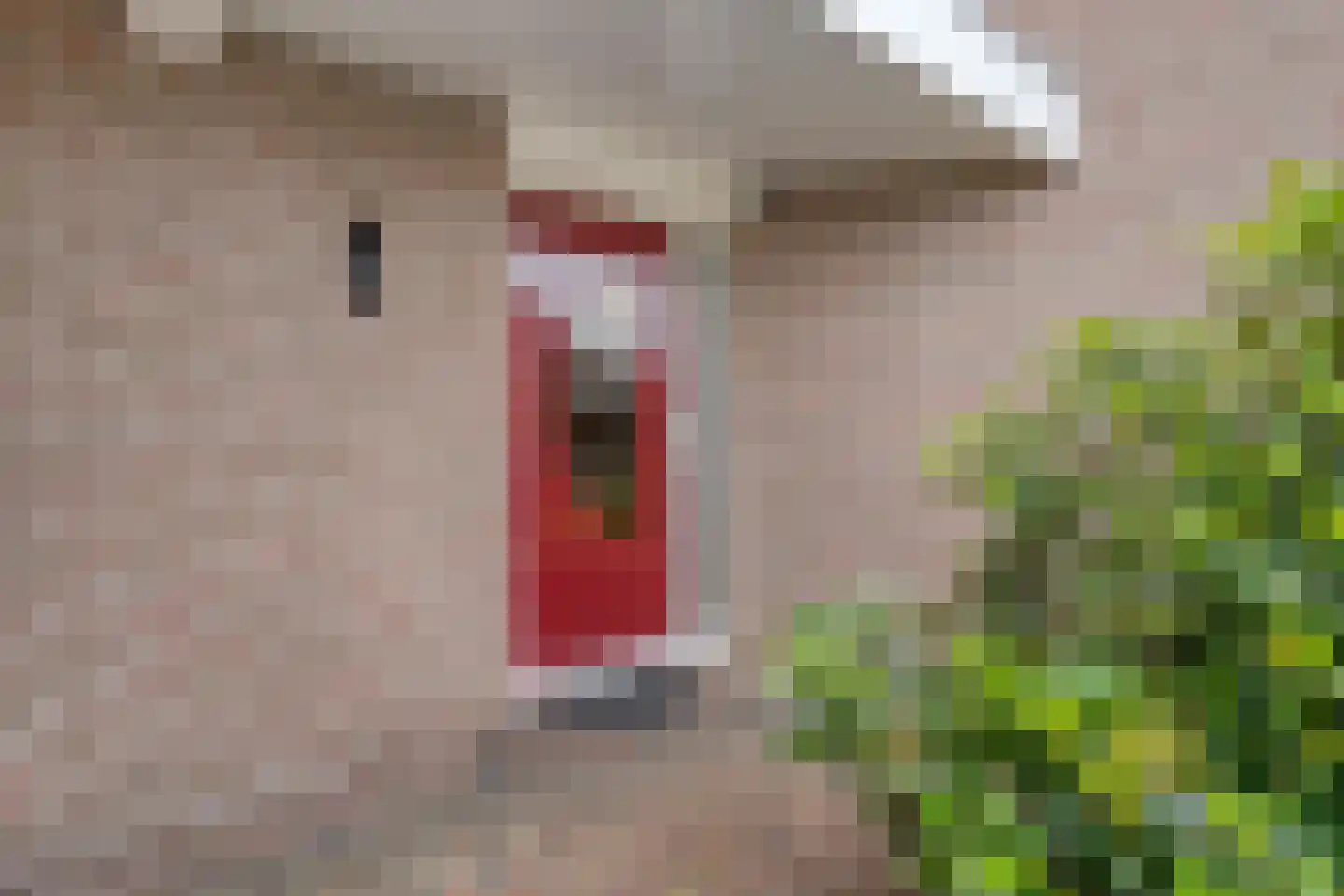het Molenpad 10 Heeten thumbnail 11