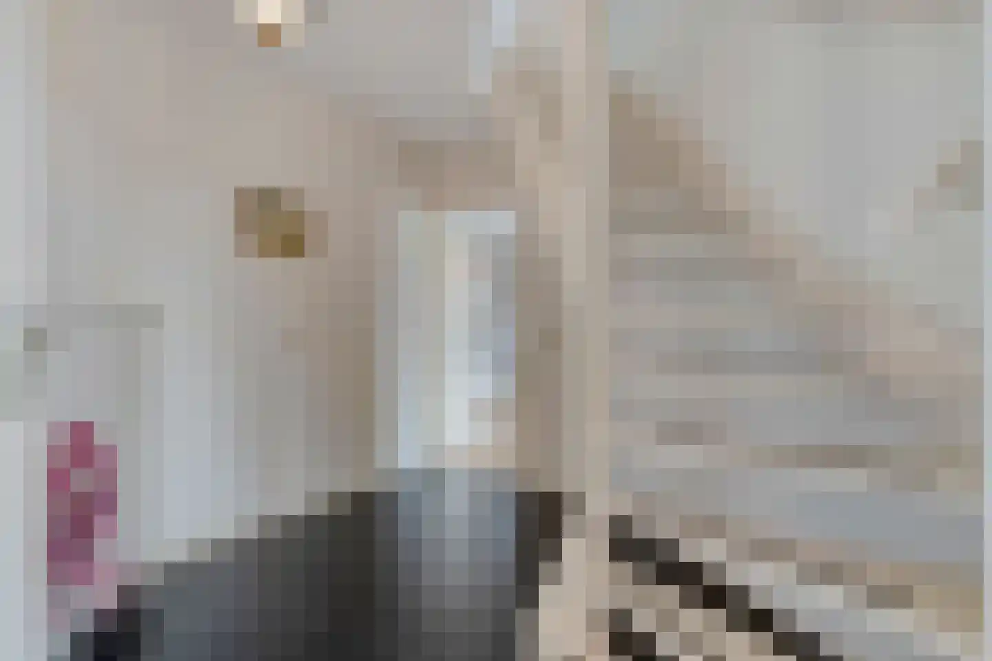 het Molenpad 10 Heeten thumbnail 15