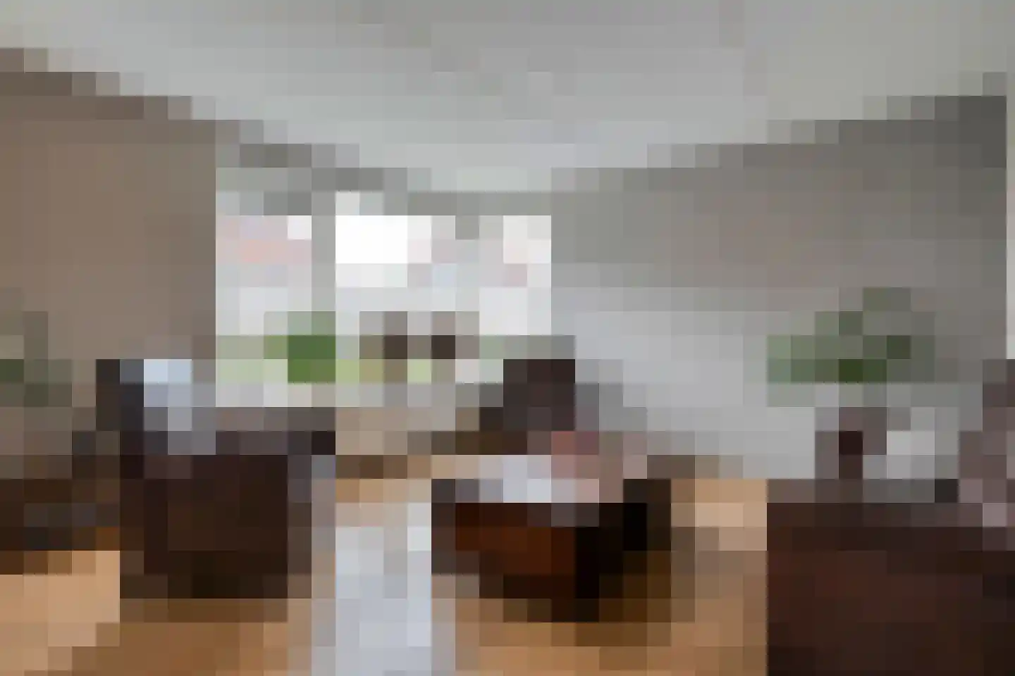 het Molenpad 10 Heeten thumbnail 17