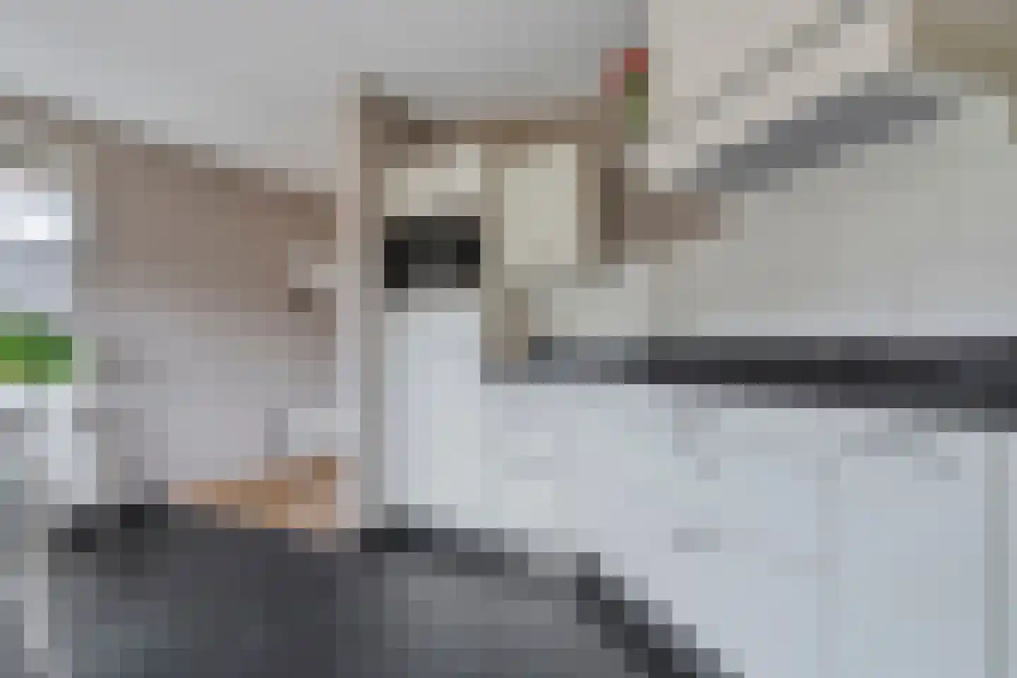het Molenpad 10 Heeten thumbnail 26