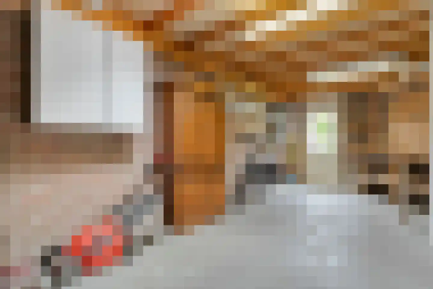 het Molenpad 10 Heeten thumbnail 29