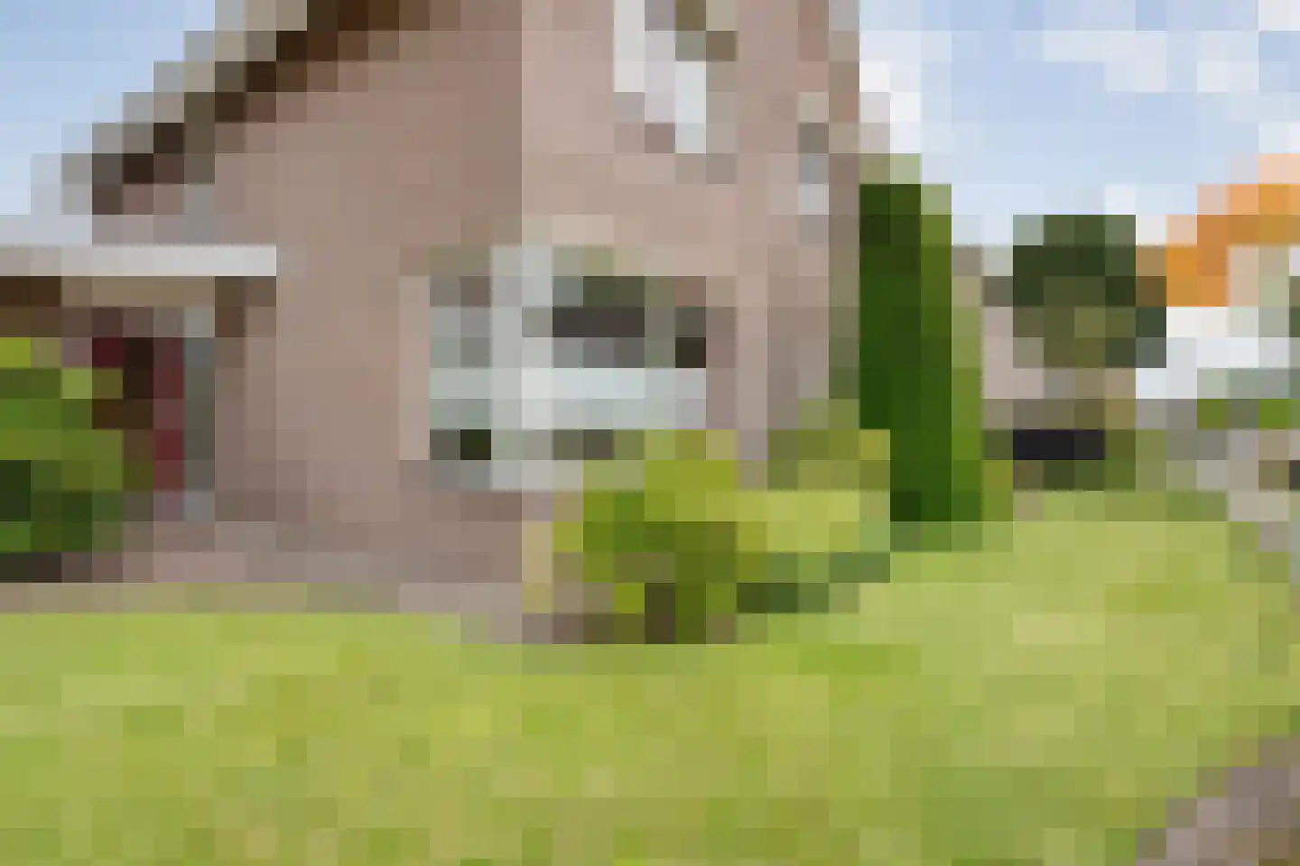 het Molenpad 10 Heeten thumbnail 5