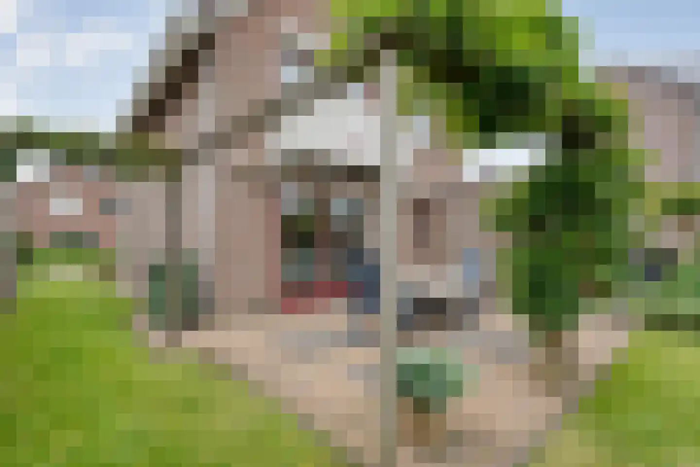 het Molenpad 10 Heeten thumbnail 53