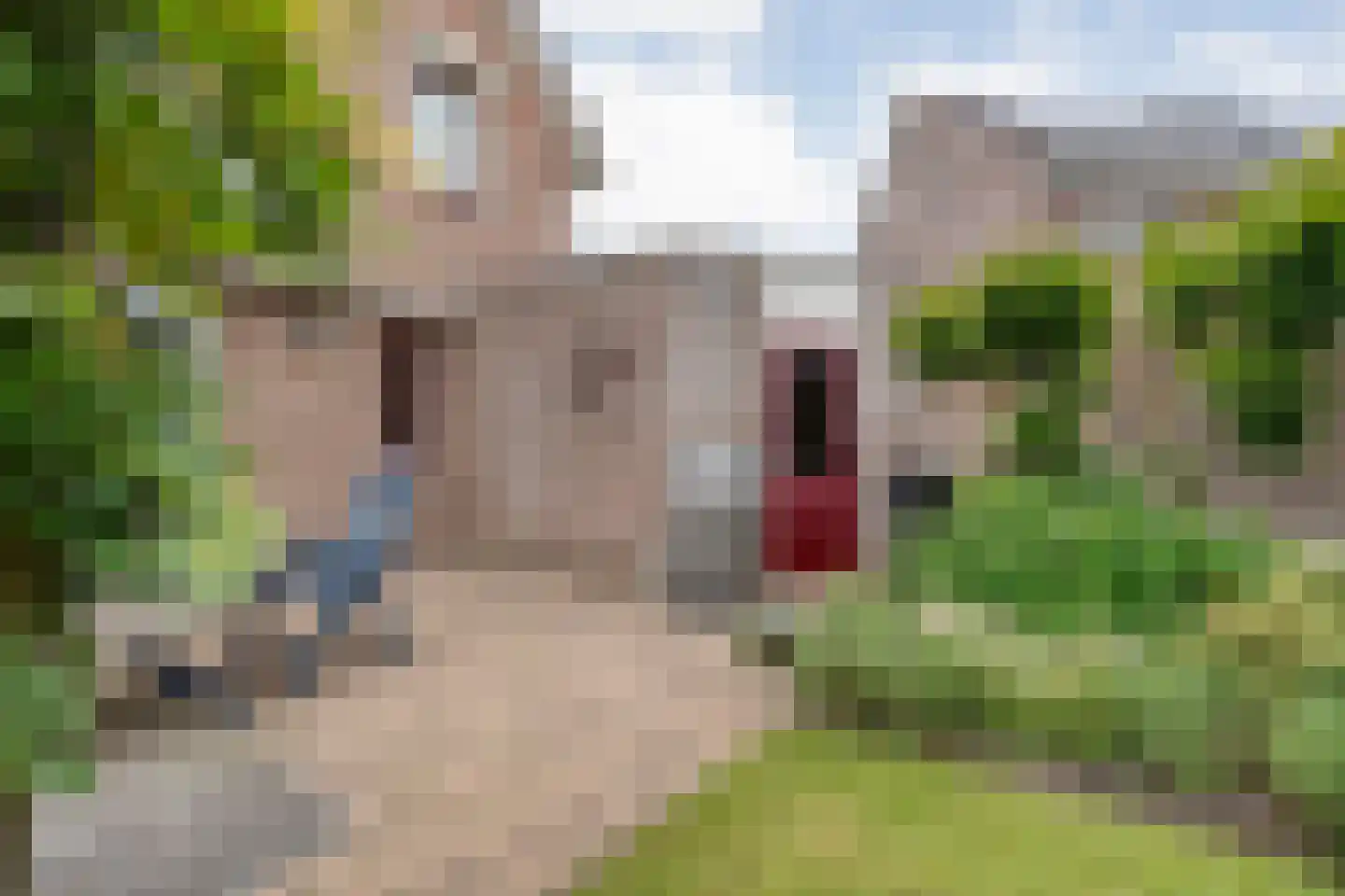 het Molenpad 10 Heeten thumbnail 57