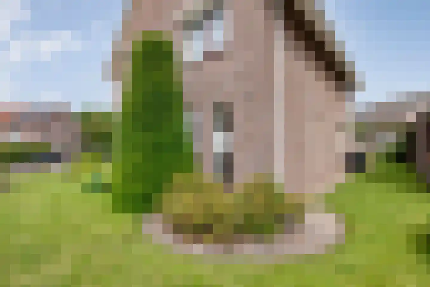 het Molenpad 10 Heeten thumbnail 6