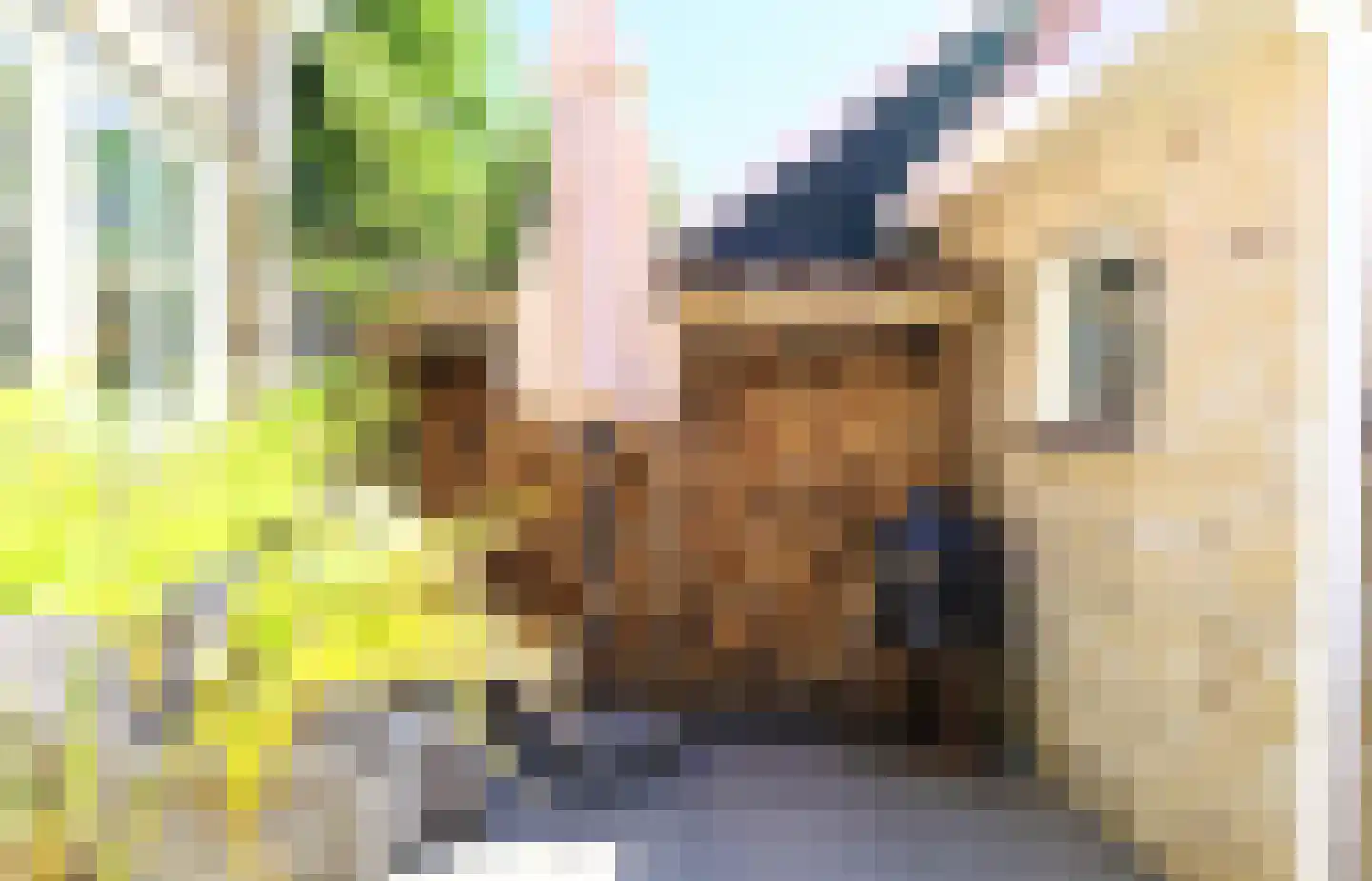Het Molentje 6 West-Terschelling thumbnail 12