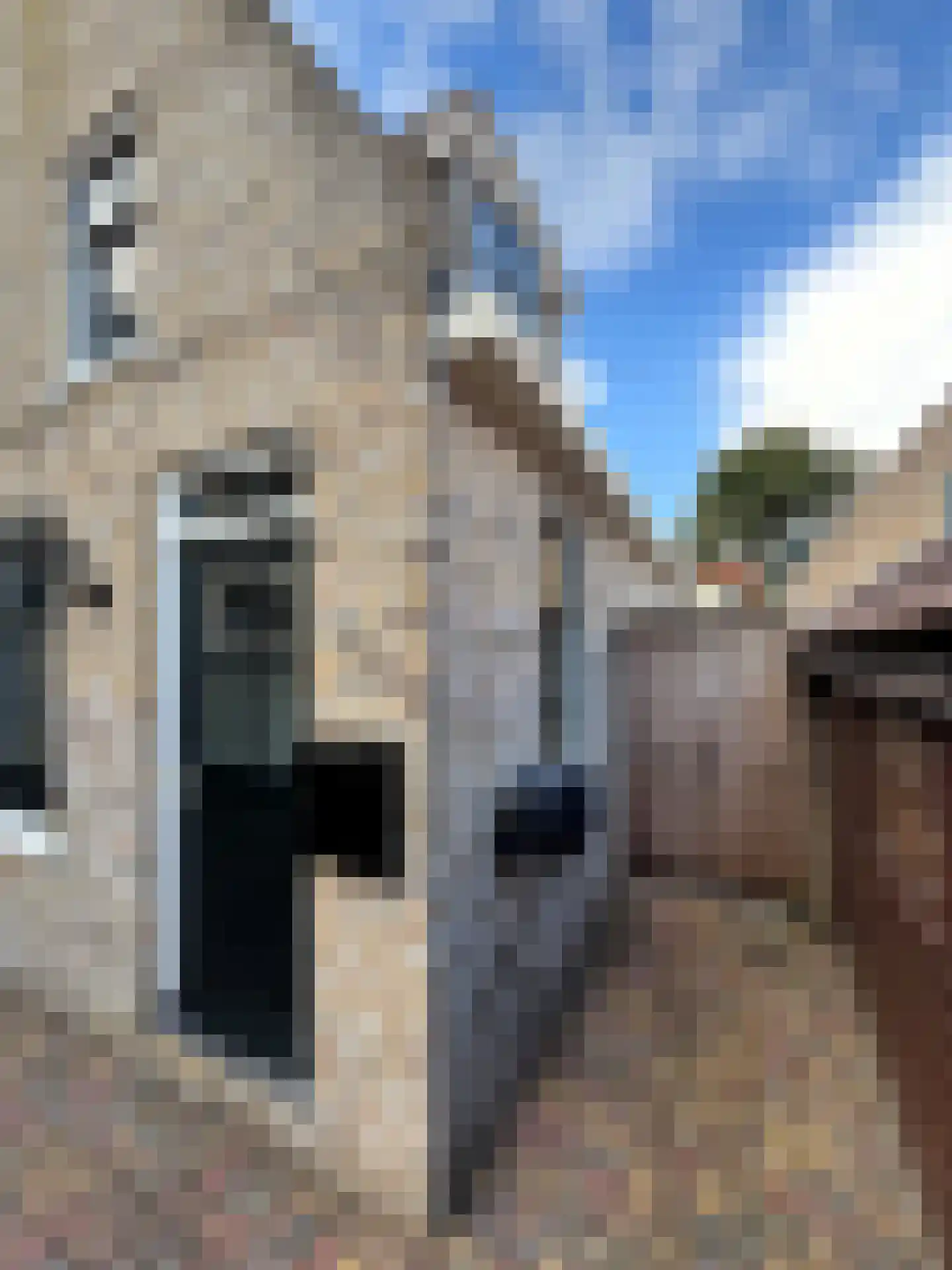 Het Molentje 6 West-Terschelling thumbnail 18