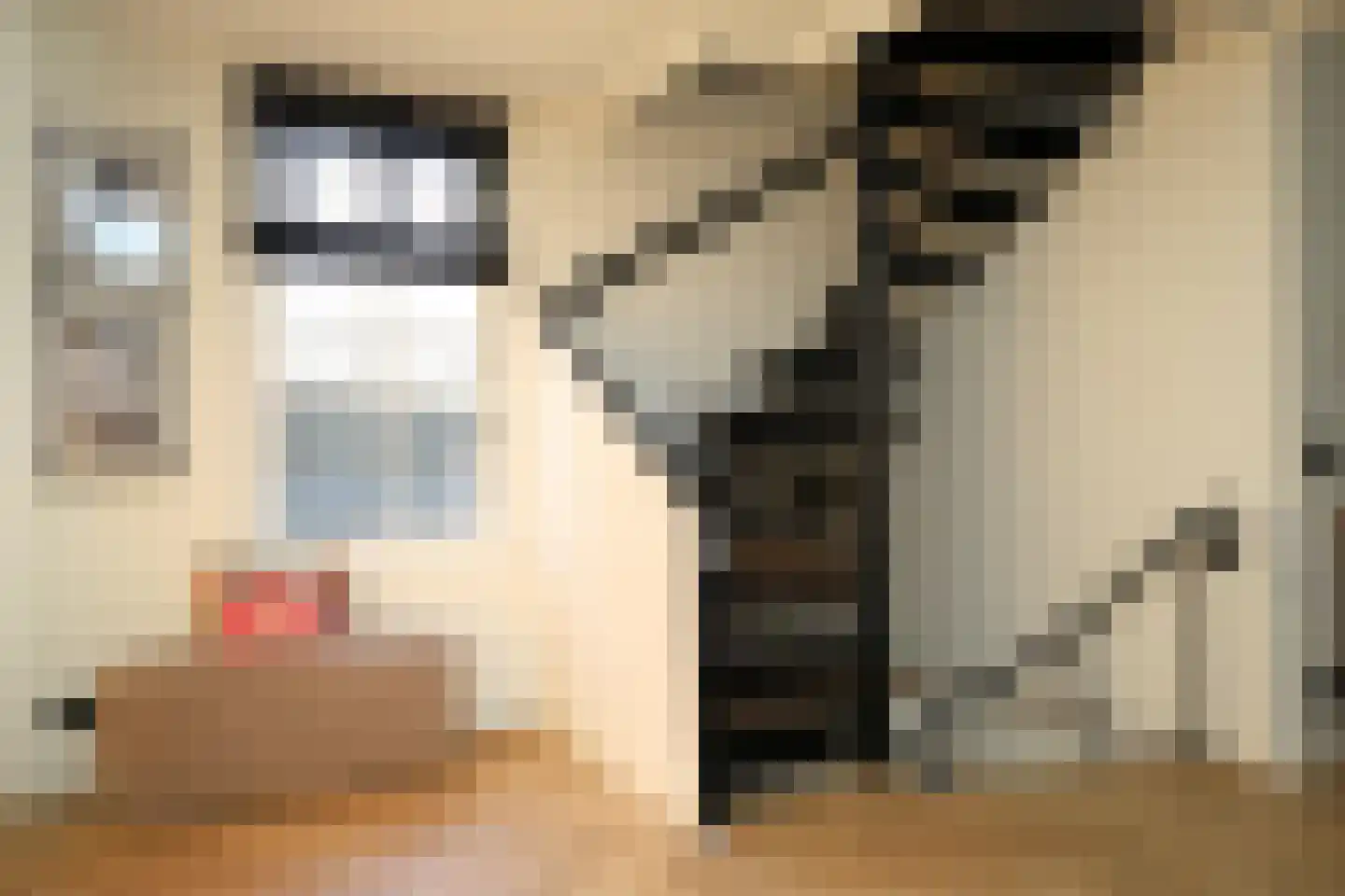 Het Molentje 6 West-Terschelling thumbnail 8