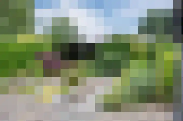 Het Moor 42 Niekerk thumbnail 33