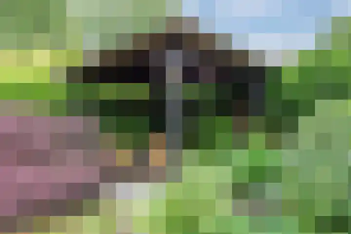 Het Moor 42 Niekerk thumbnail 34