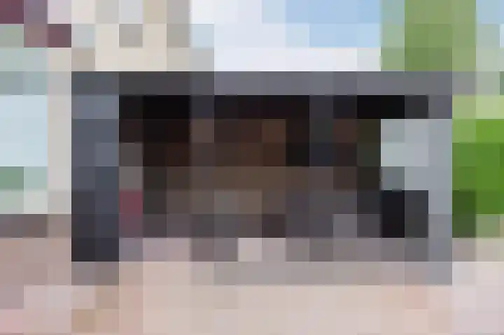 Het Moor 42 Niekerk thumbnail 4