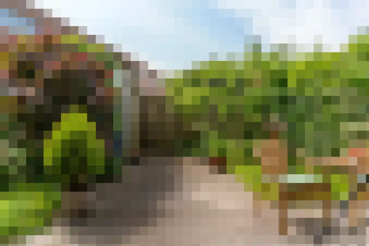 Het Mos 4 Houten thumbnail 16