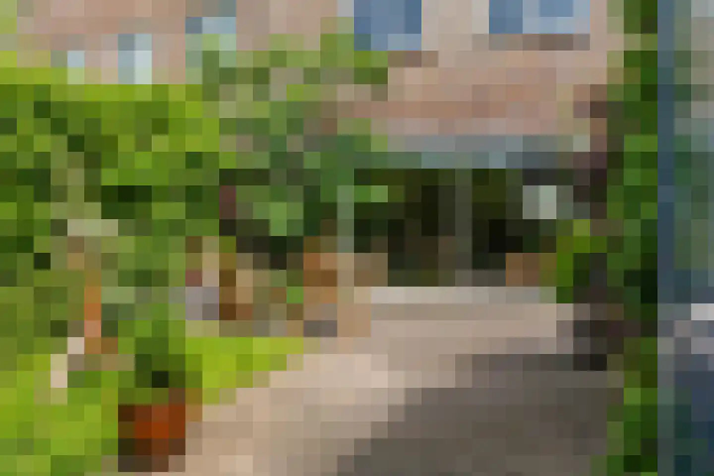 Het Mos 4 Houten thumbnail 19