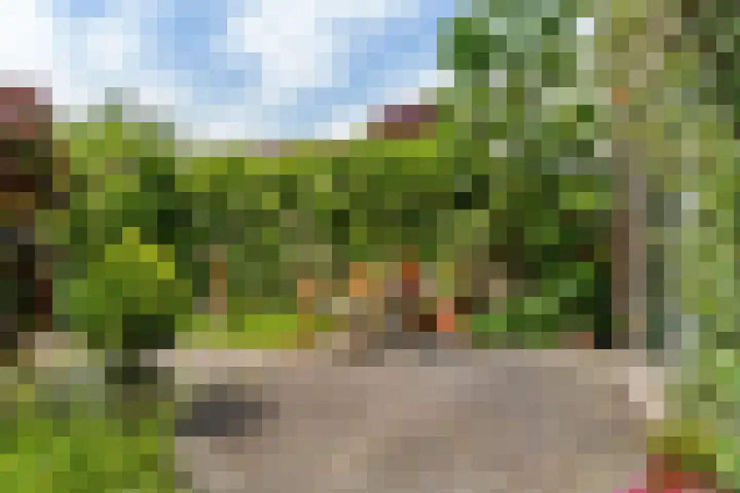 Het Mos 4 Houten thumbnail 20
