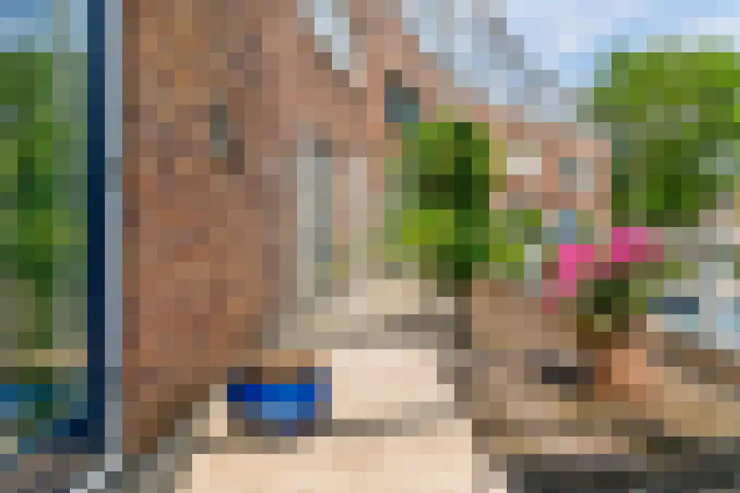 Het Mos 4 Houten thumbnail 30