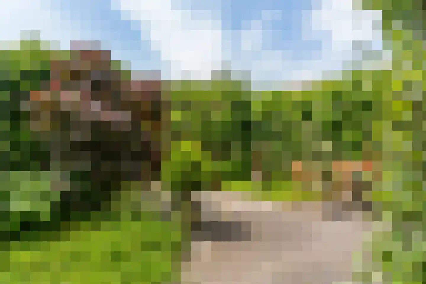 Het Mos 4 Houten thumbnail 5