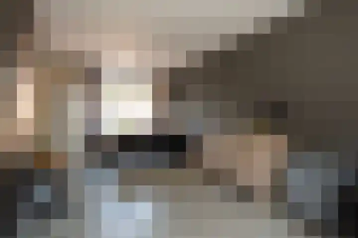 Het Mulderslag 70 Rijssen thumbnail 13