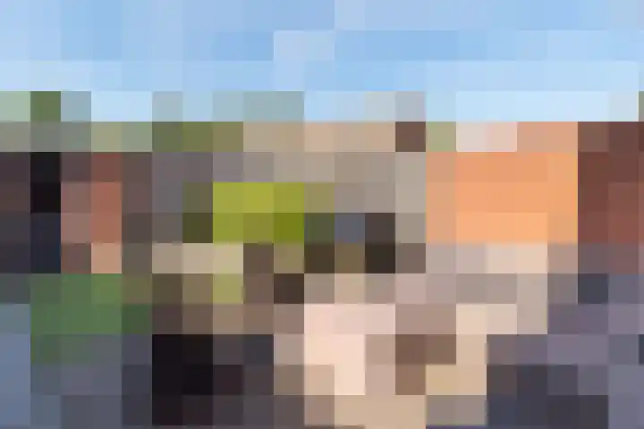 Het Mulderslag 70 Rijssen thumbnail 35
