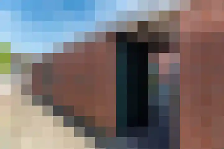 Het Mulderslag 70 Rijssen thumbnail 39
