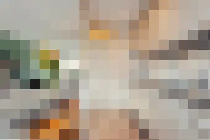 Het Mulderslag 80 Rijssen thumbnail 17