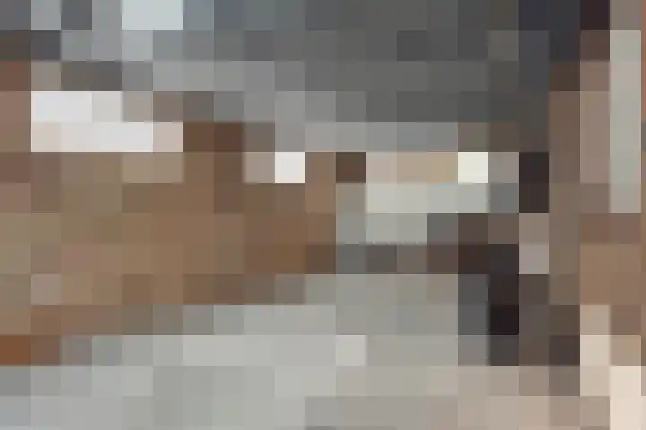 Het Mulderslag 80 Rijssen thumbnail 34
