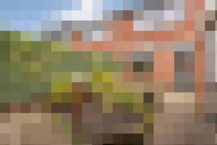 Het Mulderslag 80 Rijssen thumbnail 39