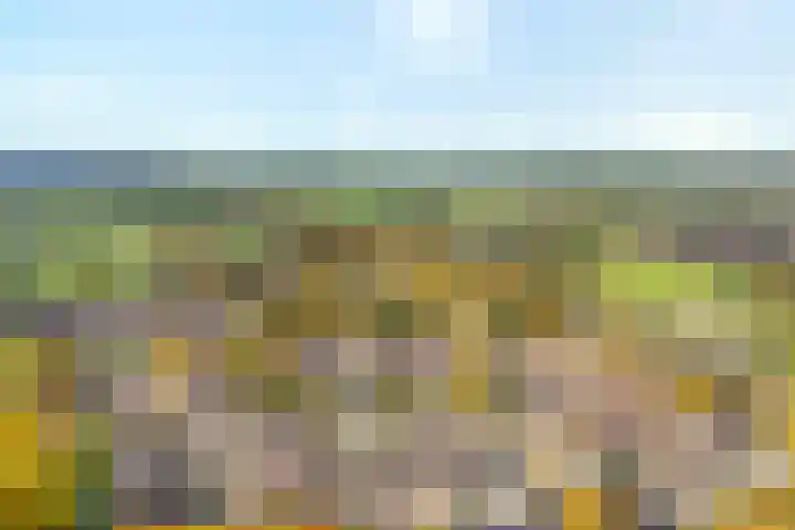 Het Mulderslag 80 Rijssen thumbnail 4