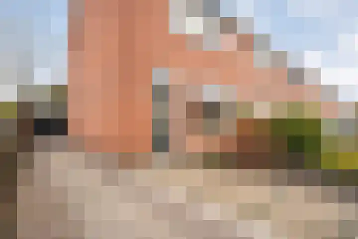 Het Mulderslag 80 Rijssen thumbnail 7