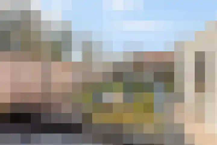 Het Nardusboer 1 Oldenzaal thumbnail 21