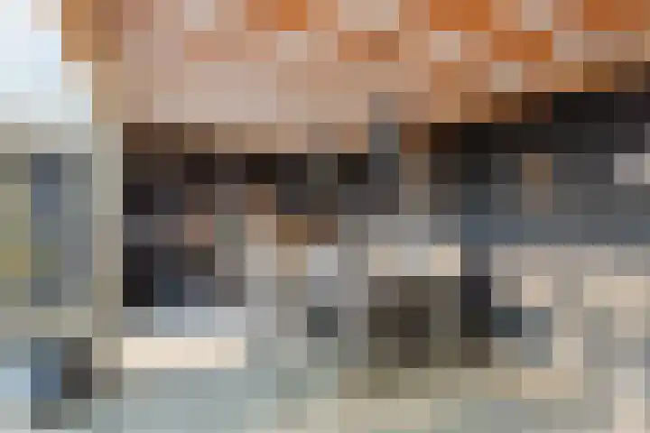 Het Nardusboer 1 Oldenzaal thumbnail 23