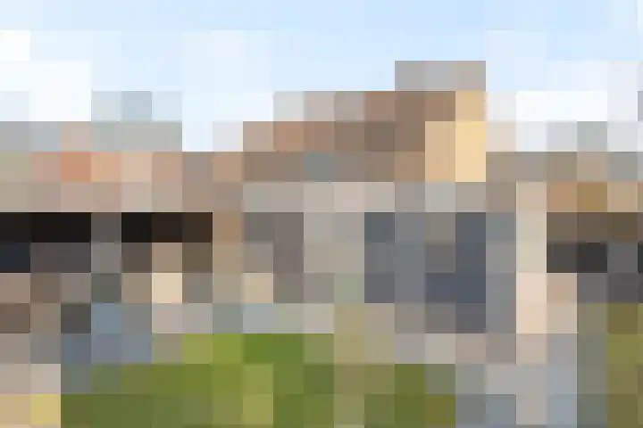 Het Nardusboer 1 Oldenzaal thumbnail 4