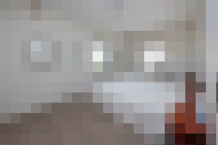 Het Nardusboer 100 Oldenzaal thumbnail 14