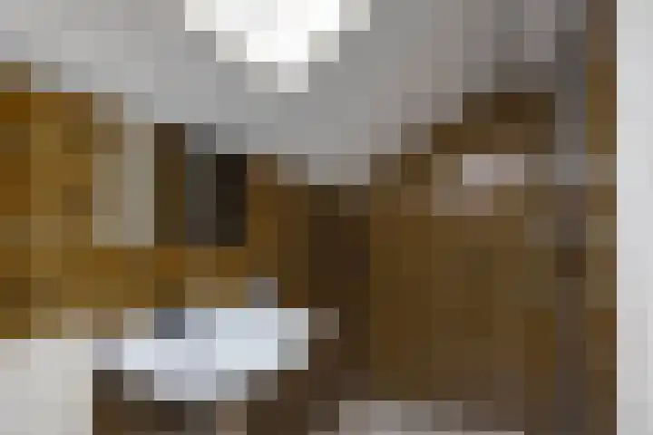 Het Nardusboer 100 Oldenzaal thumbnail 23