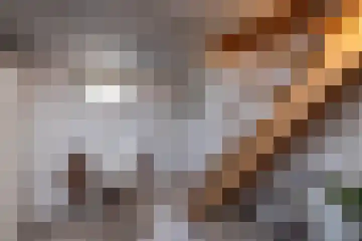 Het Nardusboer 100 Oldenzaal thumbnail 25